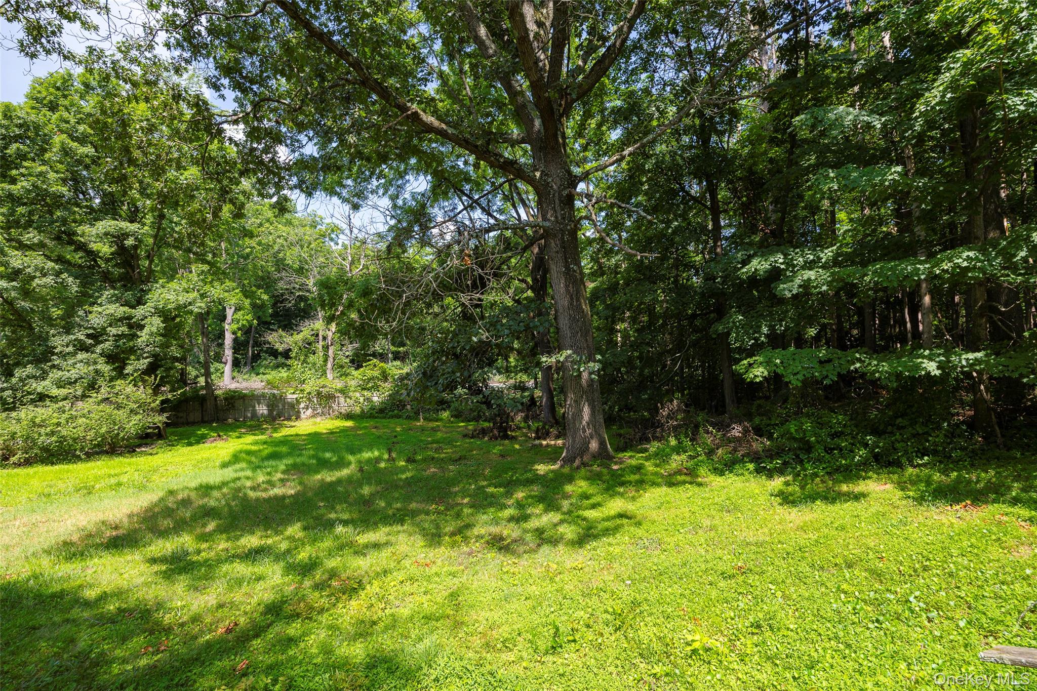83-85 Old Post Road Staatsburg, NY 12580 - Photo 36 of 36 a backyard of a house with lots of green space