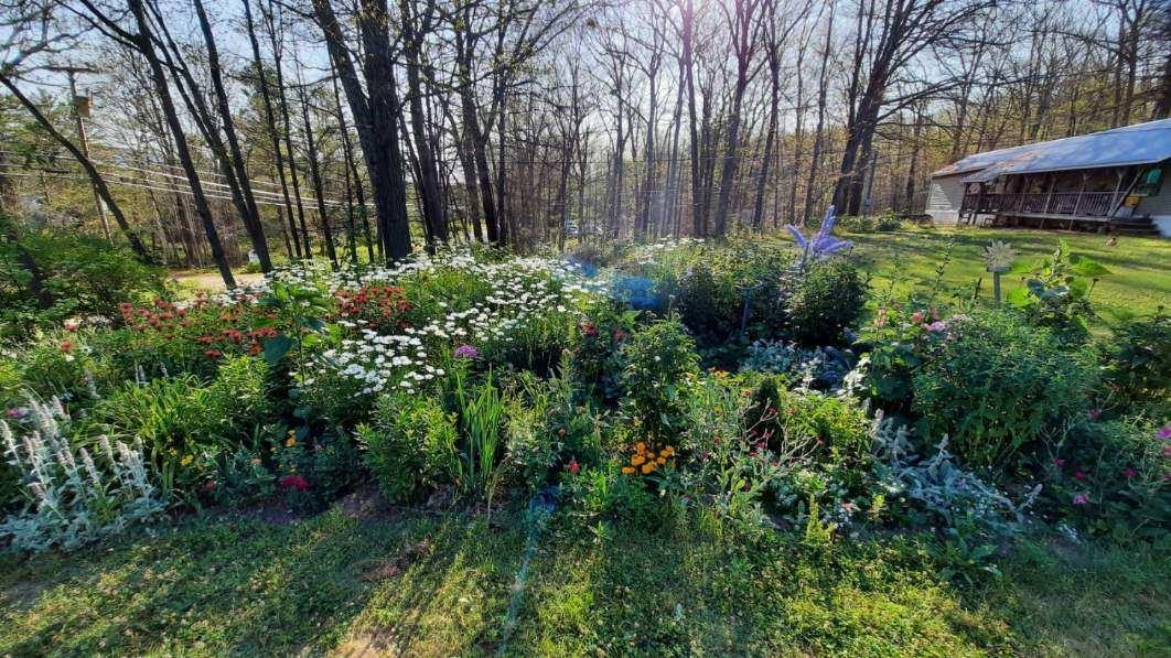 75 A Odell Hill Road Conway, NH 03813 - Photo 8 of 13