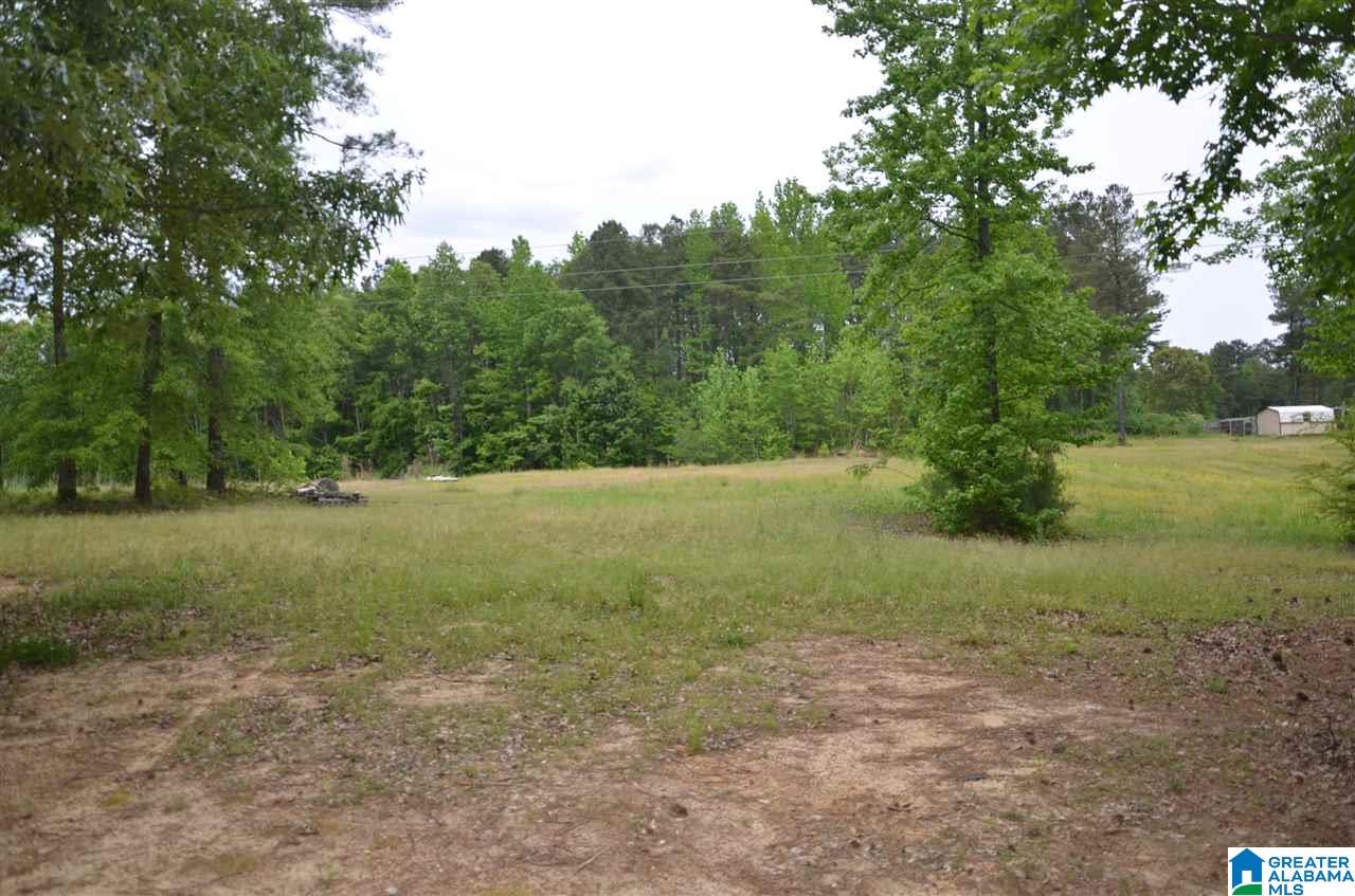 5081 Bluff Creek Ridge Adamsville, AL 35005 - Photo 6 of 28