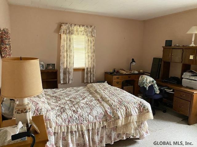 344 State Rte 313 Shushan, NY 12873 - Photo 21 of 51 Photo 21