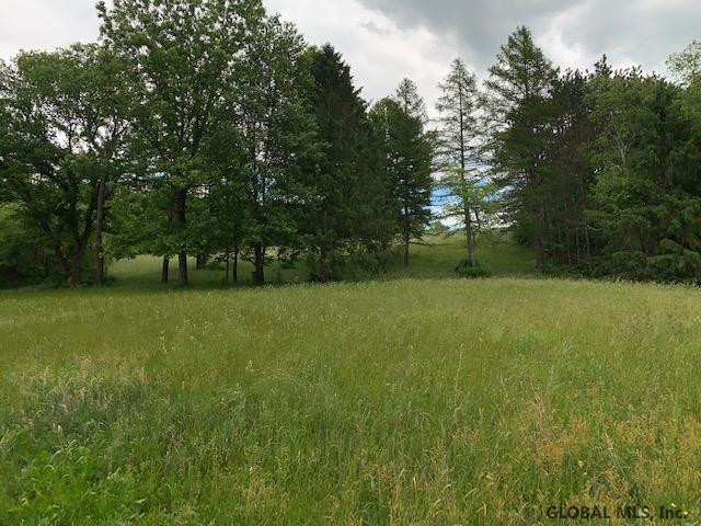 344 State Rte 313 Shushan, NY 12873 - Photo 42 of 51 Photo 42