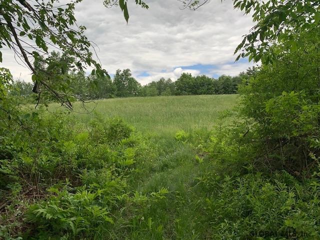 344 State Rte 313 Shushan, NY 12873 - Photo 44 of 51 Photo 44