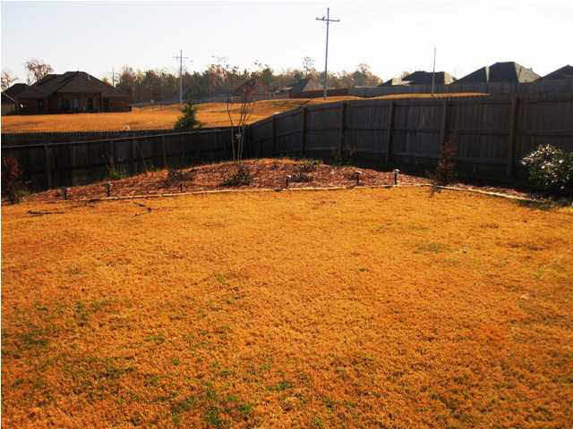 451 Springhill Place Brandon, MS 39047 - Photo 14 of 17 Photo 14