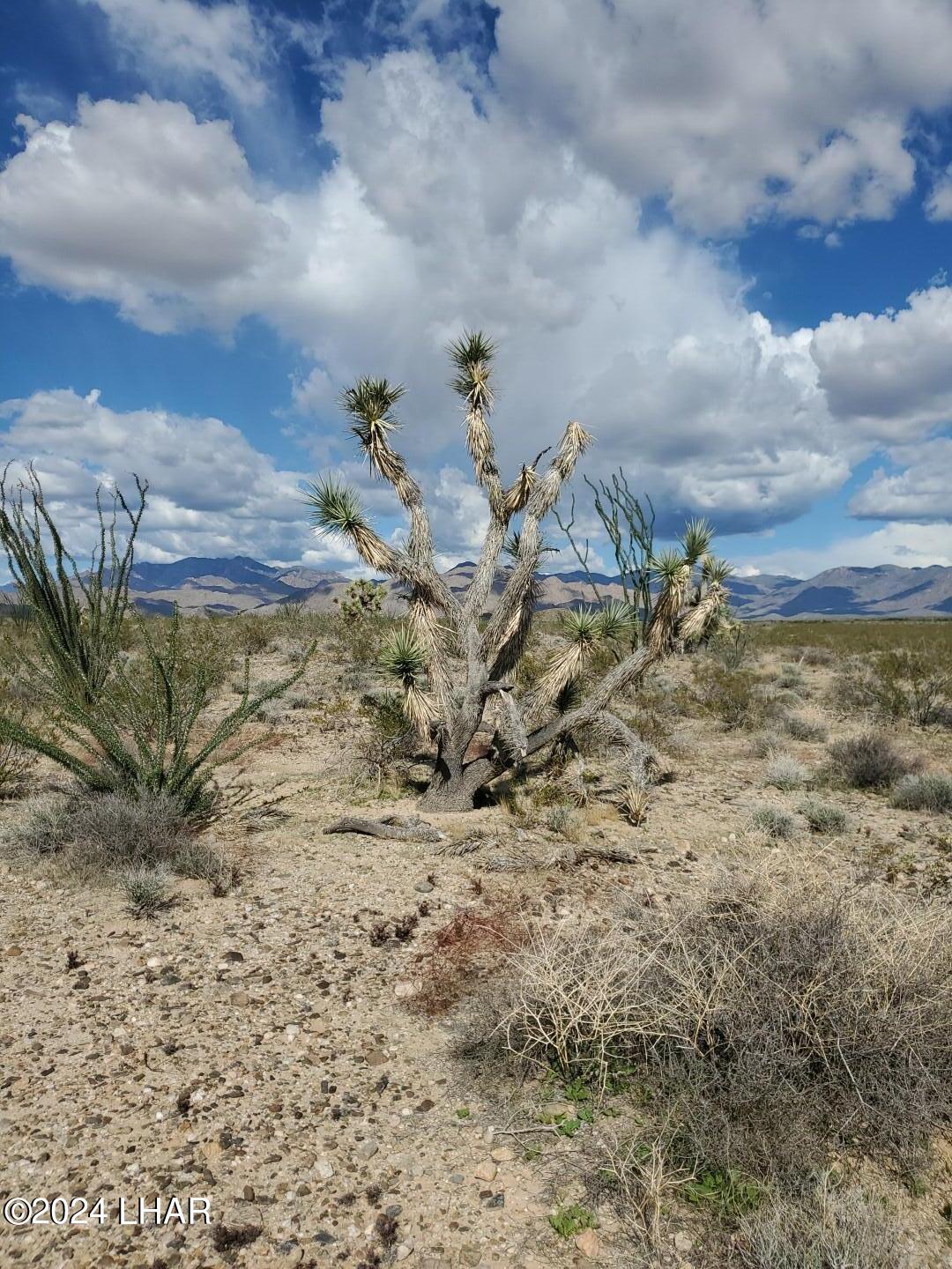 Lot 2 Rosewell Road Yucca, AZ 86438 - Photo 11 of 13 IMG_20240319_153313