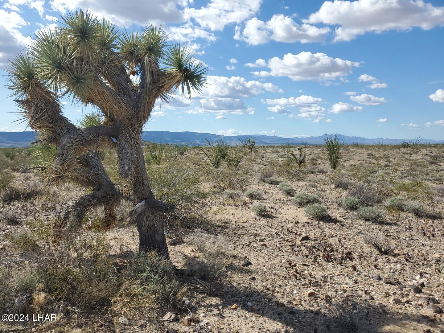 Lot 2 Rosewell Road Yucca, AZ 86438 - Photo 13 of 13 IMG_20240319_154001