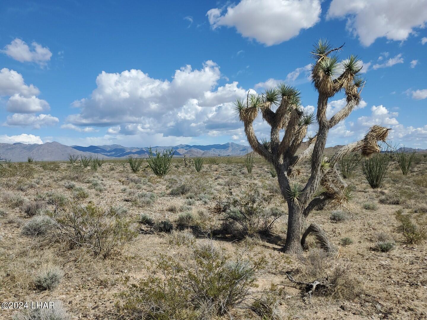 Lot 2 Rosewell Road Yucca, AZ 86438 - Photo 2 of 13 IMG_20240319_152122