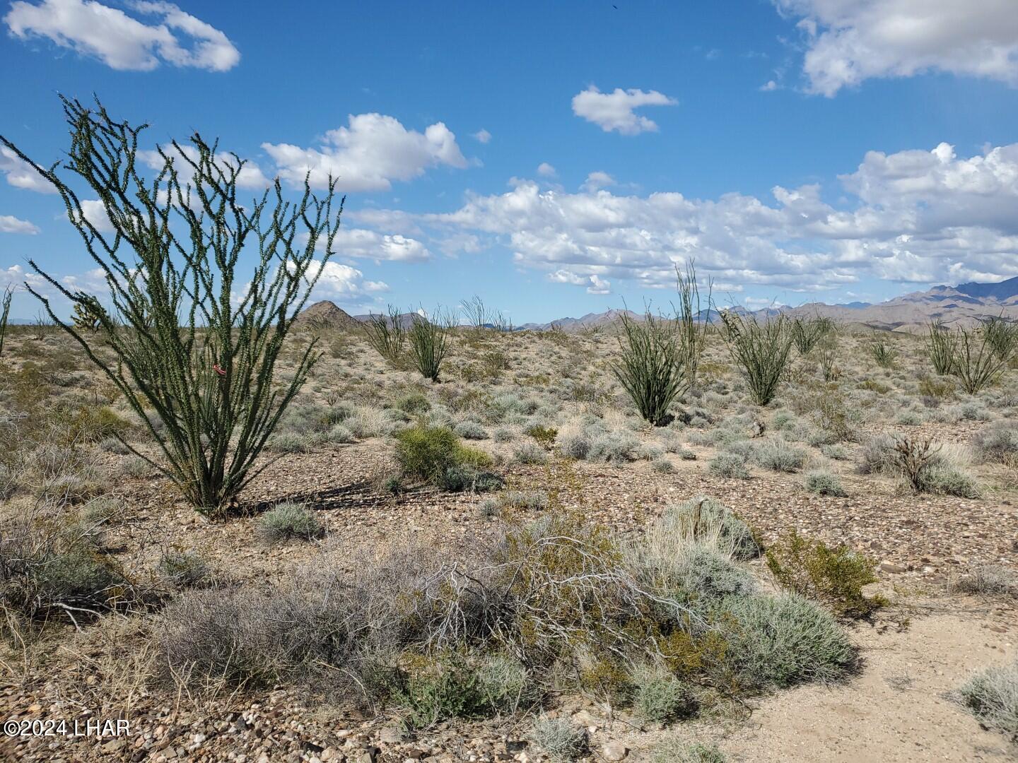Lot 2 Rosewell Road Yucca, AZ 86438 - Photo 3 of 13 IMG_20240319_153122