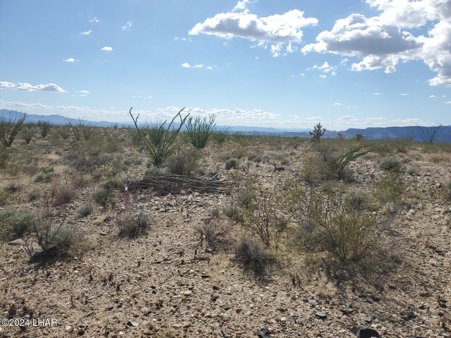 Lot 2 Rosewell Road Yucca, AZ 86438 - Photo 8 of 13 IMG_20240319_151901
