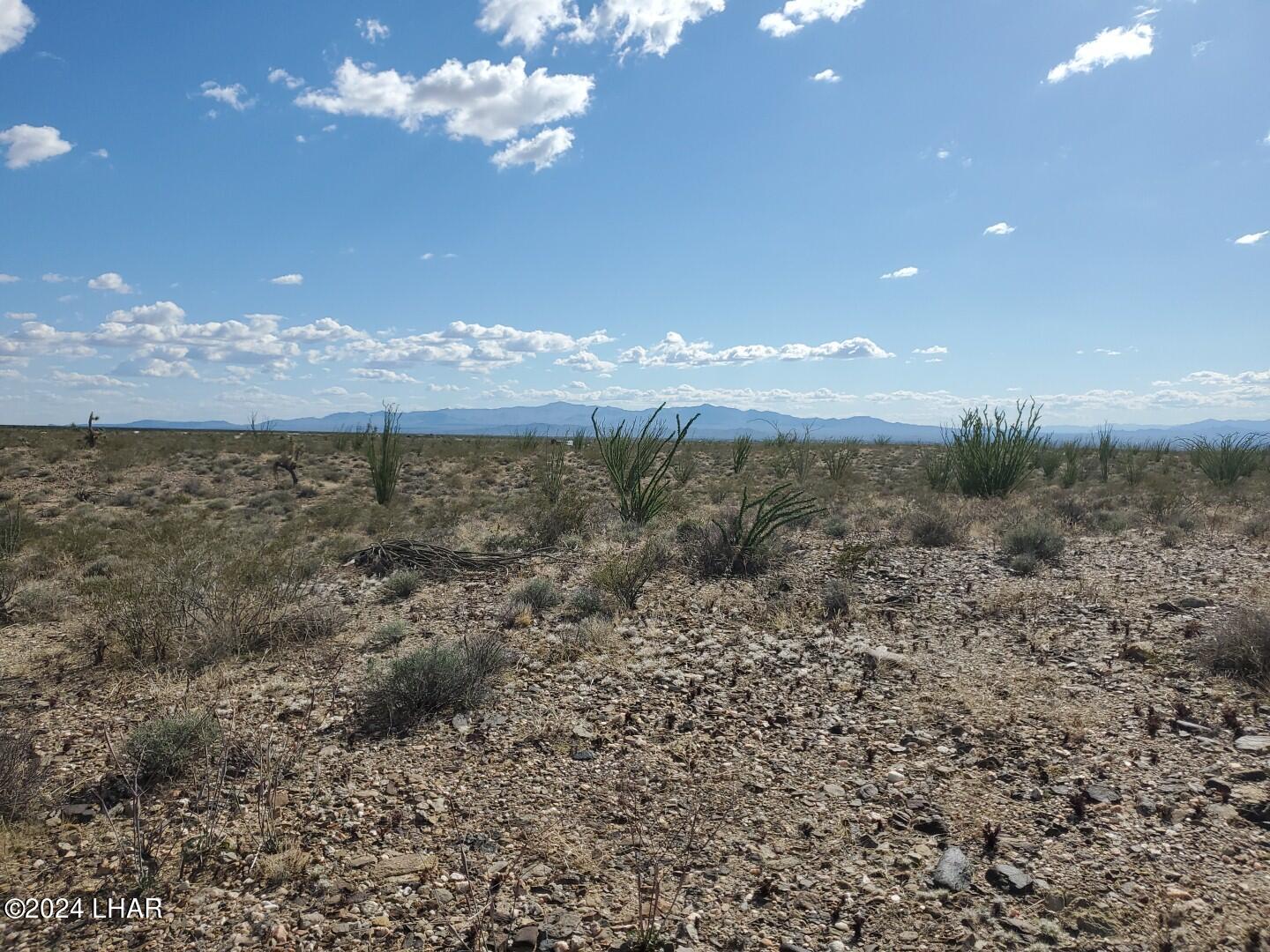 Lot 2 Rosewell Road Yucca, AZ 86438 - Photo 10 of 13 IMG_20240319_151931