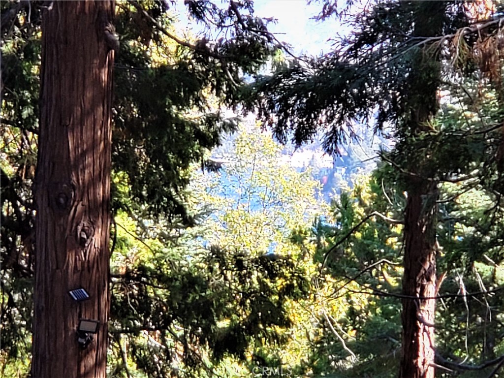 330 Castle Gate Road Lake Arrowhead, CA 92352 - Photo 4 of 12