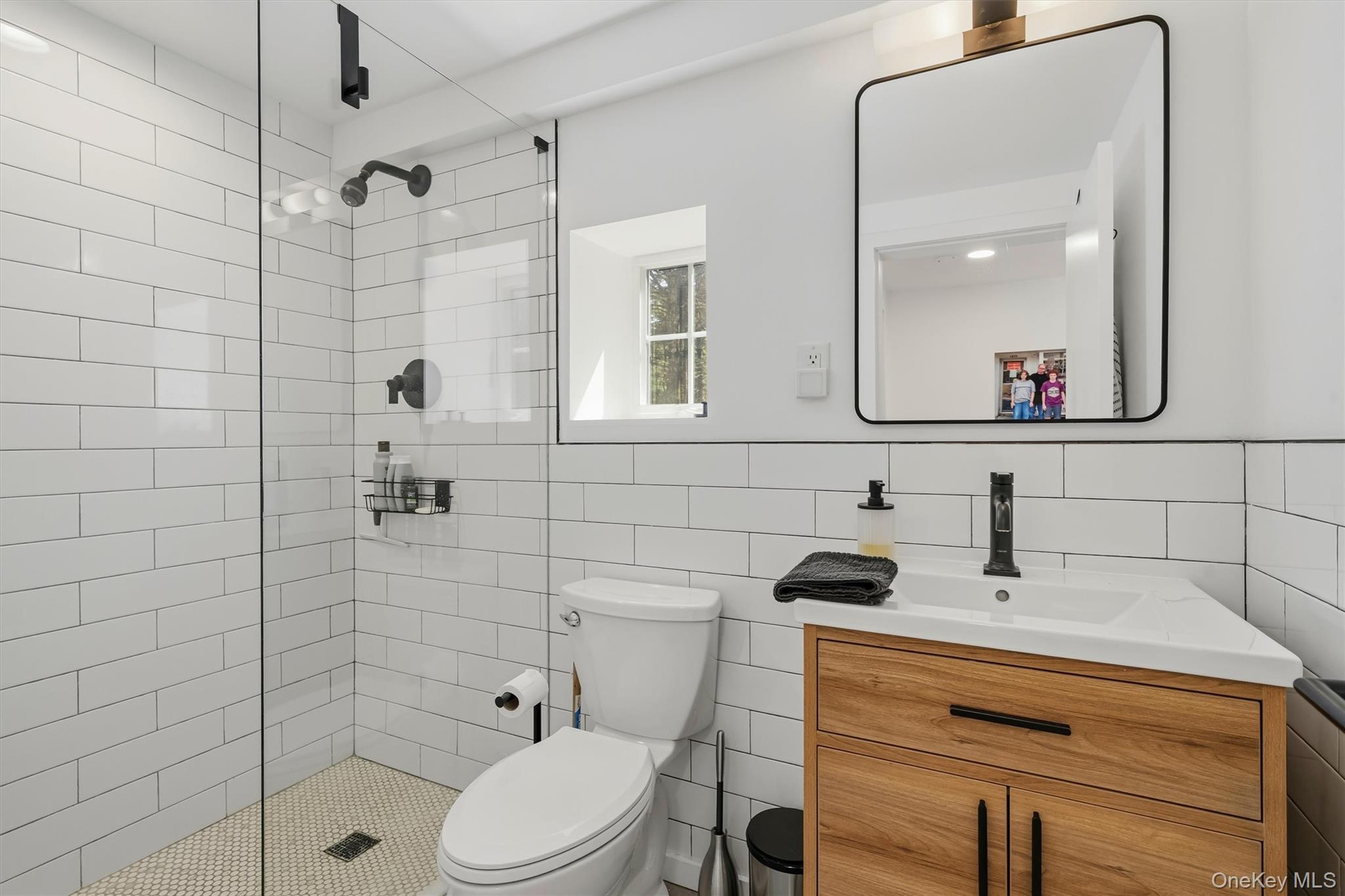 165 Dexheimer Road Narrowsburg, NY 12764 - Photo 35 of 50 Lower level bathrom with walk-in shower