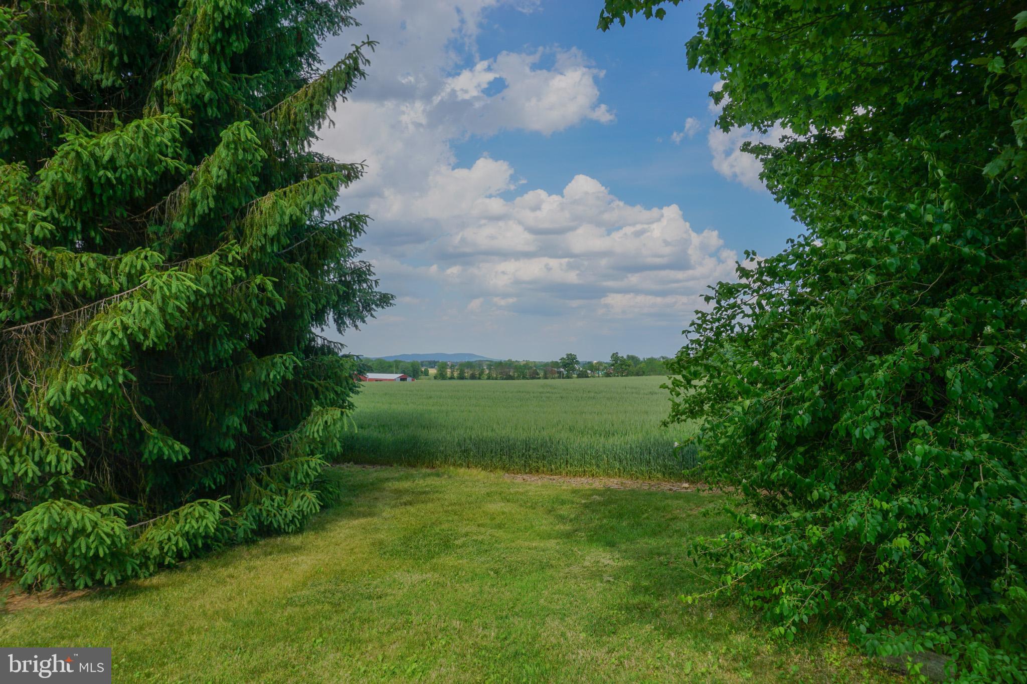 389 Basehoar Road Littlestown, PA 17340 - Photo 81 of 101 Stunning views in backyard
