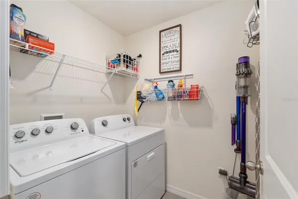 a view of a house with a yard potted plants and a large tree