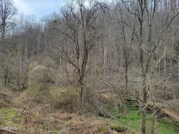 $20,000 | Tbd Jaggy Fox Trail, Jonesville, VA 24263
