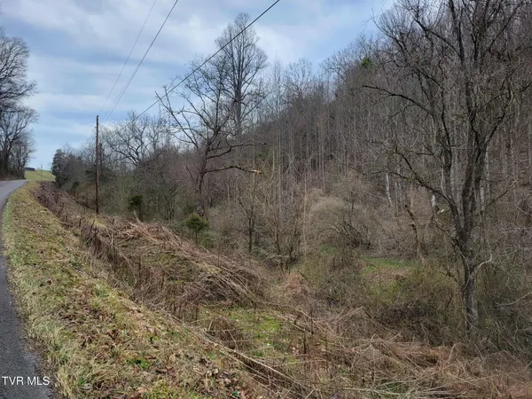 $20,000 | Tbd Jaggy Fox Trail, Jonesville, VA 24263