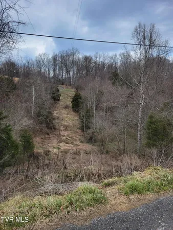 $20,000 | Tbd Jaggy Fox Trail, Jonesville, VA 24263