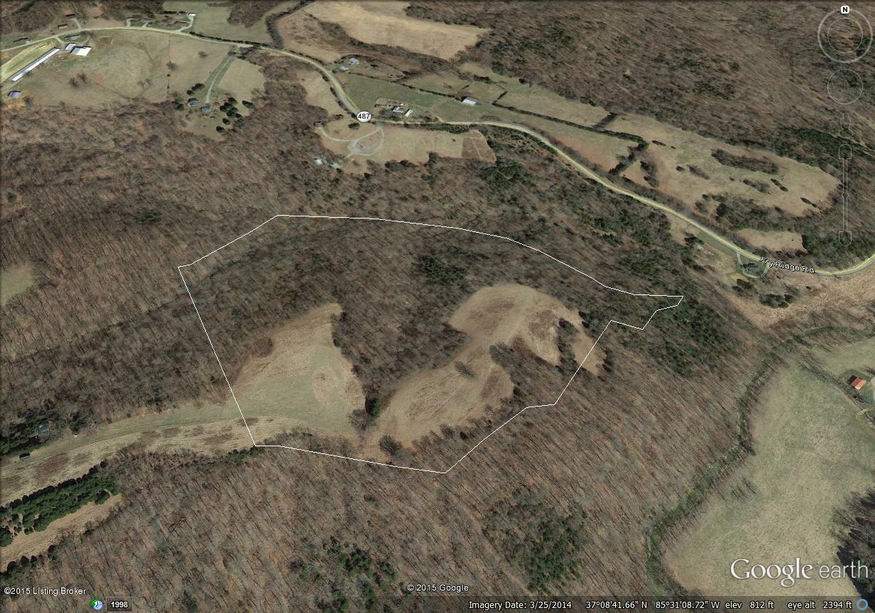 0 South End Road Greensburg, KY 42743 - Photo 11 of 12 Dotson 18.76 aerial.jpg