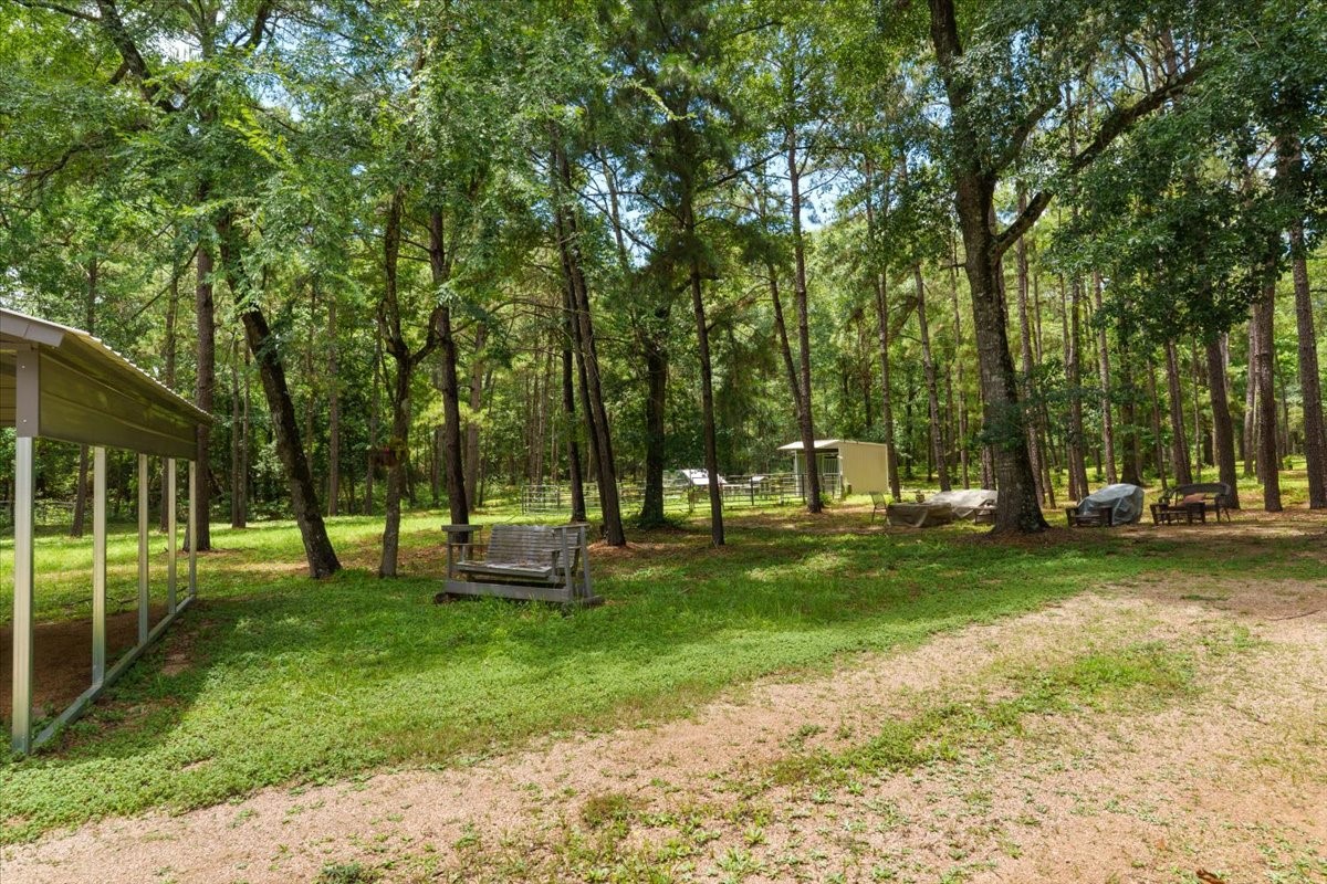 16375 Grand Flower Road Plantersville, TX 77363 - Photo 32 of 50 a view of a park with large trees