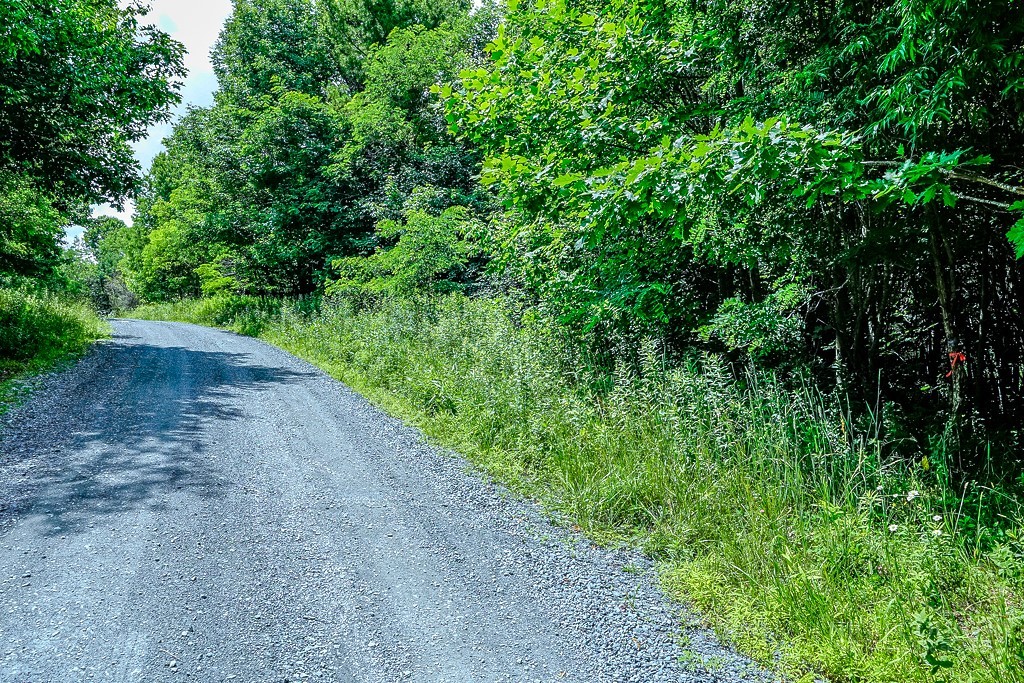218 Old Mountain Road Banner Elk, NC 28604 - Photo 11 of 34 Gallery Image 11