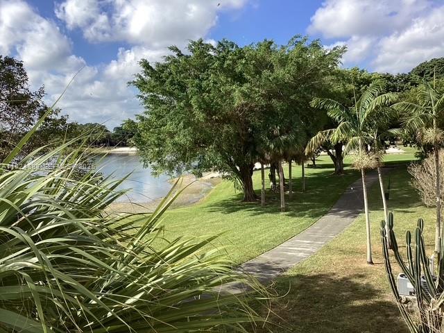 15330 Southwest 106th Terrace, Unit 903 Miami, FL 33196 - Photo 41 of 57