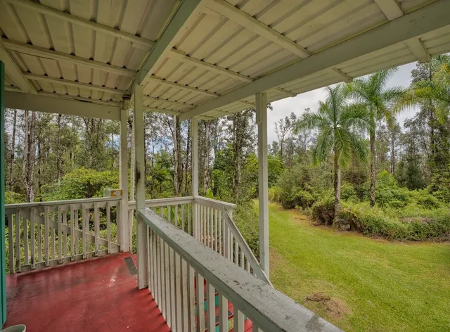 a view of a pathway of a garden