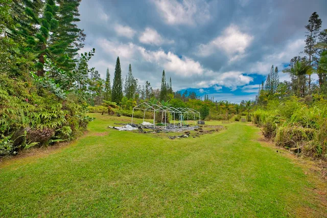 a view of a yard with yellow house