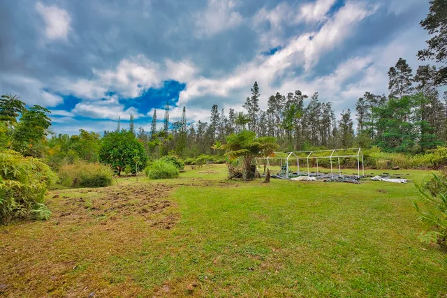 a view of a big yard with plants and large trees