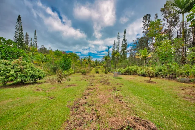 a view of a plant in a garden