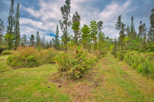 a view of yard with green space