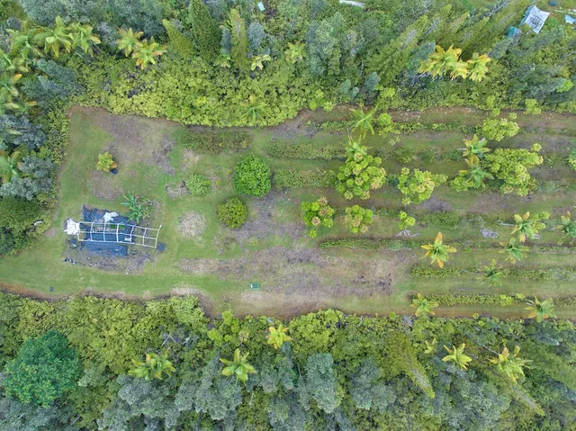 $250,000 | 16-1635 Io Kea Rd Mountain View, Mountain View, HI 96771