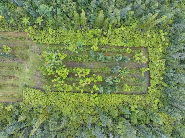 $250,000 | 16-1635 Io Kea Rd Mountain View, Mountain View, HI 96771