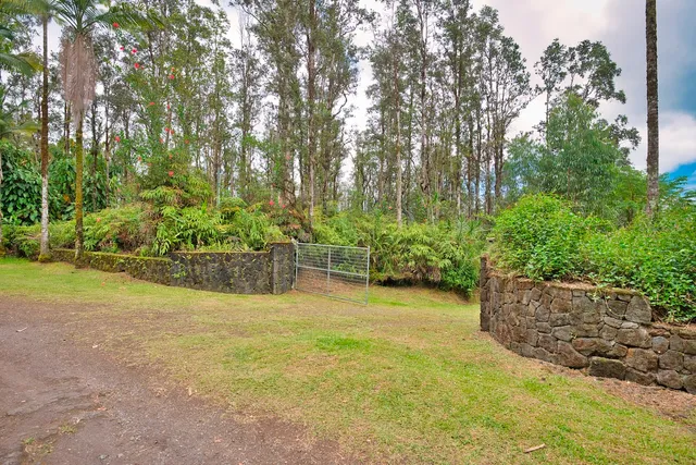 a view of a backyard with large trees