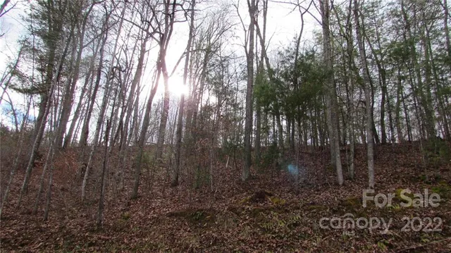 a view of a backyard of the house