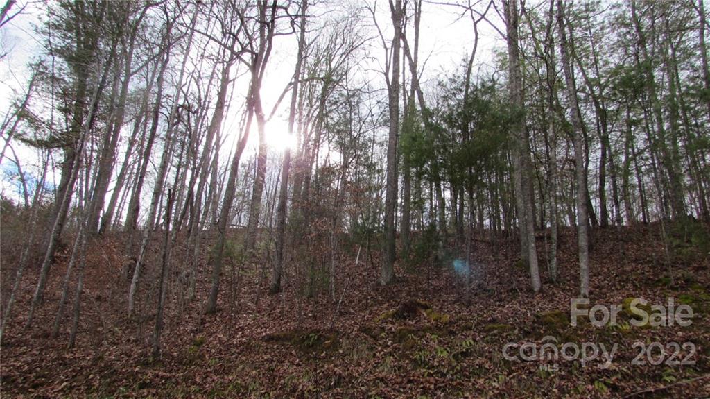 0 High Peak Ridge, Unit 7 Green Mountain, NC 28740 - Photo 11 of 27 a backyard of a house with lots of green space