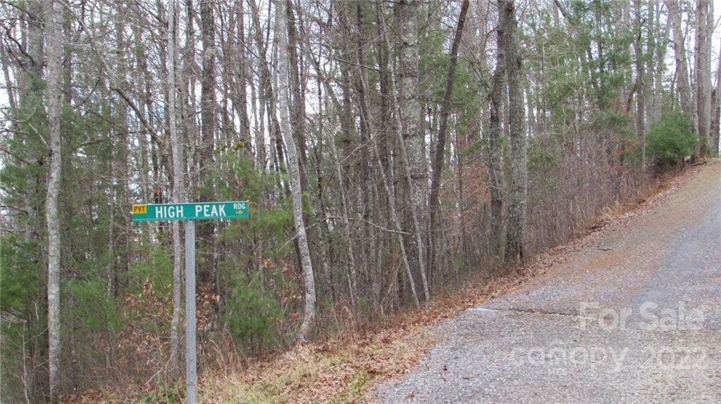 0 High Peak Ridge, Unit 7 Green Mountain, NC 28740 - Photo 12 of 27 a view of a forest with a tree