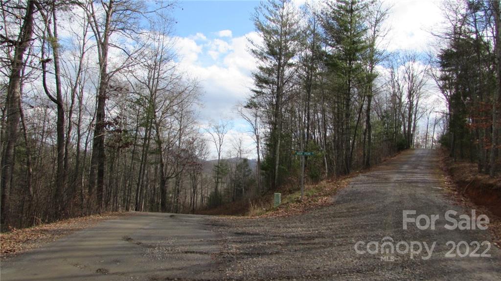 0 High Peak Ridge, Unit 7 Green Mountain, NC 28740 - Photo 13 of 27 a view of a backyard of the house