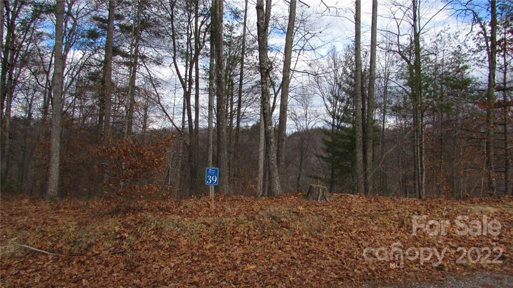 0 High Peak Ridge, Unit 7 Green Mountain, NC 28740 - Photo 14 of 27 a view of outdoor space with trees
