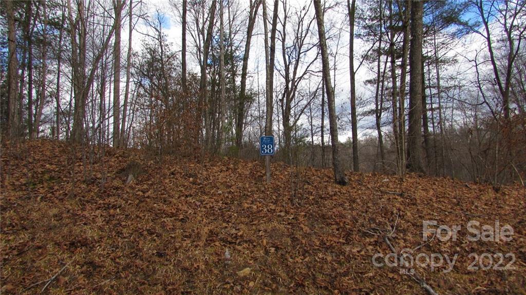 0 High Peak Ridge, Unit 7 Green Mountain, NC 28740 - Photo 15 of 27 a backyard of a house with lots of green space