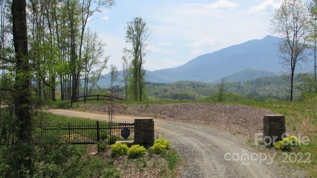 0 High Peak Ridge, Unit 7 Green Mountain, NC 28740 - Photo 18 of 27 a view of a garden with large tree