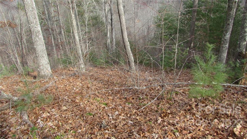 0 High Peak Ridge, Unit 7 Green Mountain, NC 28740 - Photo 2 of 27 a view of small space with trees