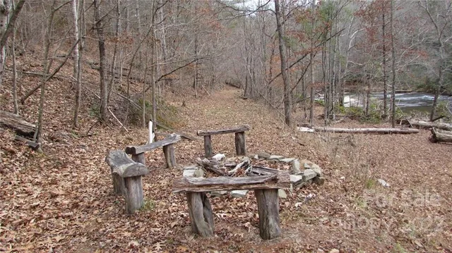 a view of a lake with a tree