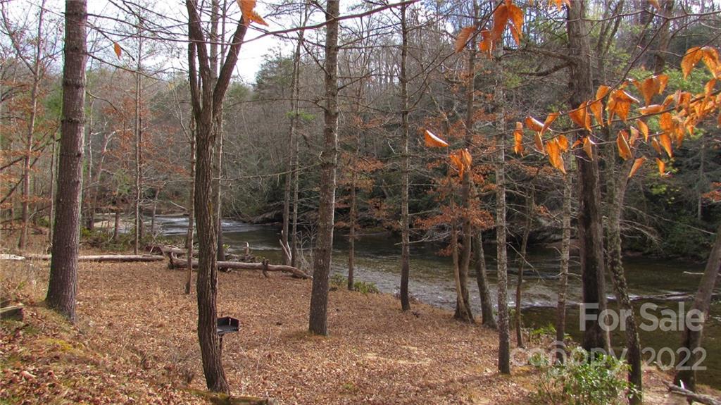 0 High Peak Ridge, Unit 7 Green Mountain, NC 28740 - Photo 26 of 27 a view of a forest