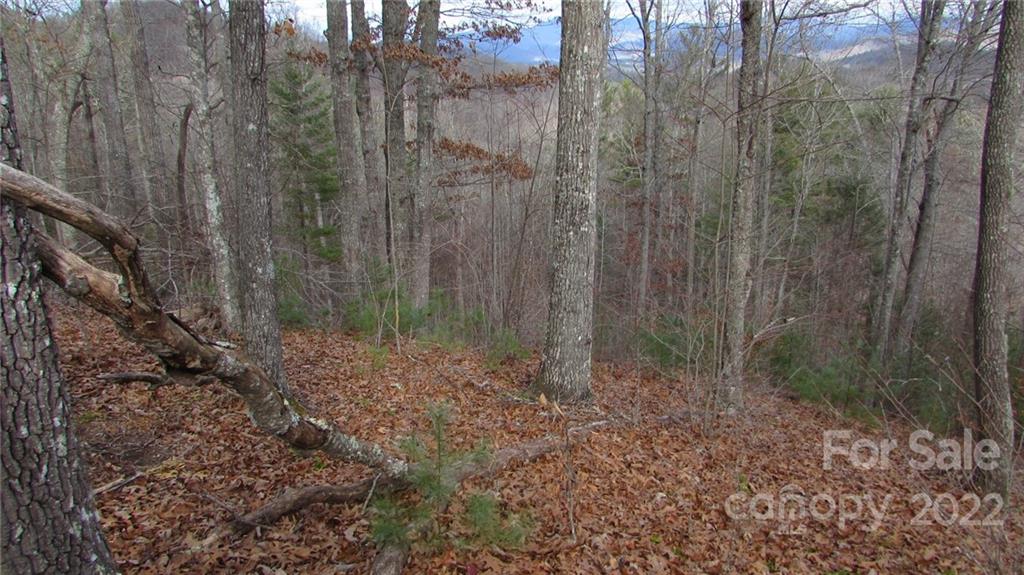 0 High Peak Ridge, Unit 7 Green Mountain, NC 28740 - Photo 3 of 27 a view of a forest