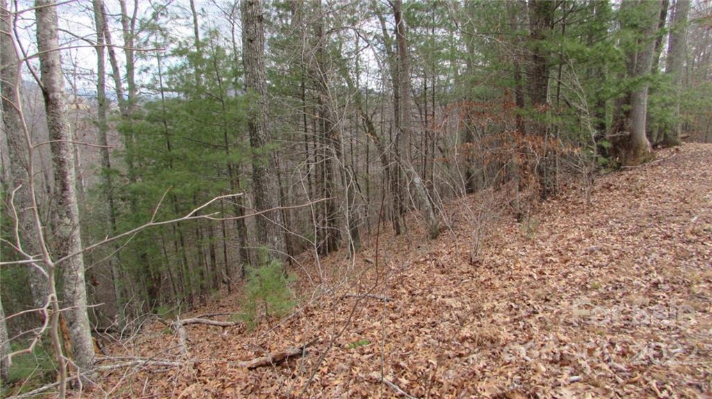 0 High Peak Ridge, Unit 7 Green Mountain, NC 28740 - Photo 4 of 27 a view of a forest with a bench