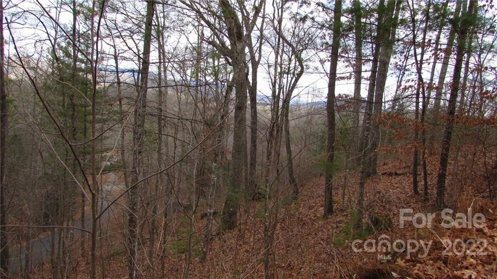 0 High Peak Ridge, Unit 7 Green Mountain, NC 28740 - Photo 5 of 27