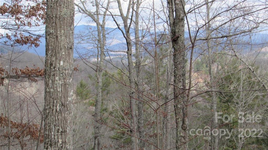 0 High Peak Ridge, Unit 7 Green Mountain, NC 28740 - Photo 6 of 27