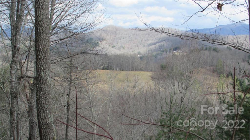 0 High Peak Ridge, Unit 7 Green Mountain, NC 28740 - Photo 7 of 27 a view of a dry yard