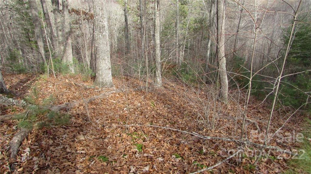 0 High Peak Ridge, Unit 7 Green Mountain, NC 28740 - Photo 8 of 27 a view of backyard with green space