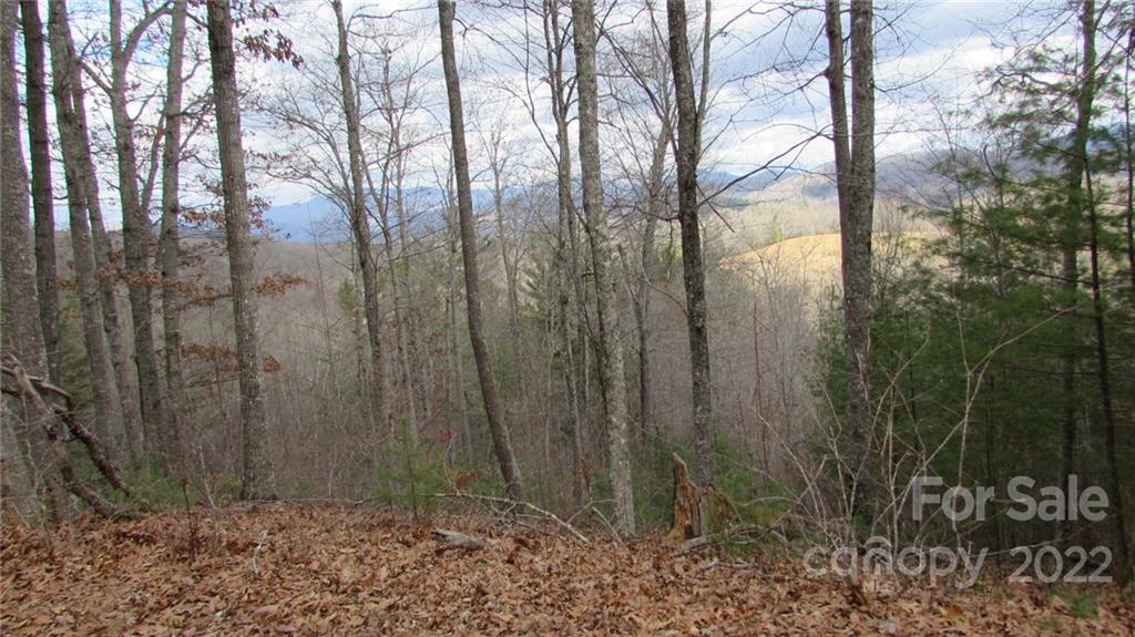 0 High Peak Ridge, Unit 7 Green Mountain, NC 28740 - Photo 9 of 27 a view of a backyard