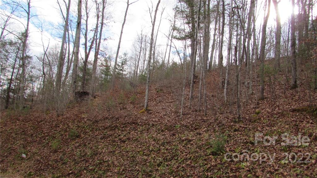 0 High Peak Ridge, Unit 7 Green Mountain, NC 28740 - Photo 10 of 27 a view of a yard with lots of bushes